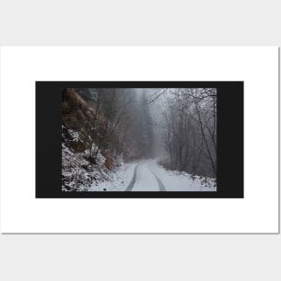 Foggy road in the forest Posters and Art